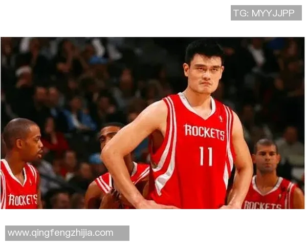 姚明身份号背后的故事与篮球传奇的交织探秘